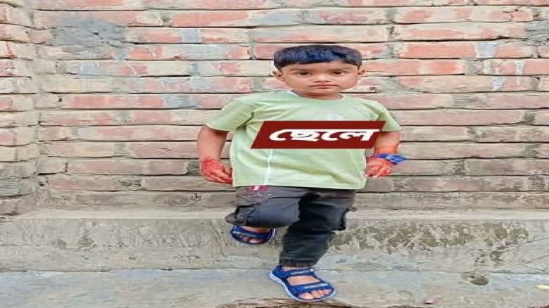 বদলগাছীতে বিষাক্ত সাপের দংশনে ৭ বছরের শিশু শিক্ষার্থীর মৃত্য
