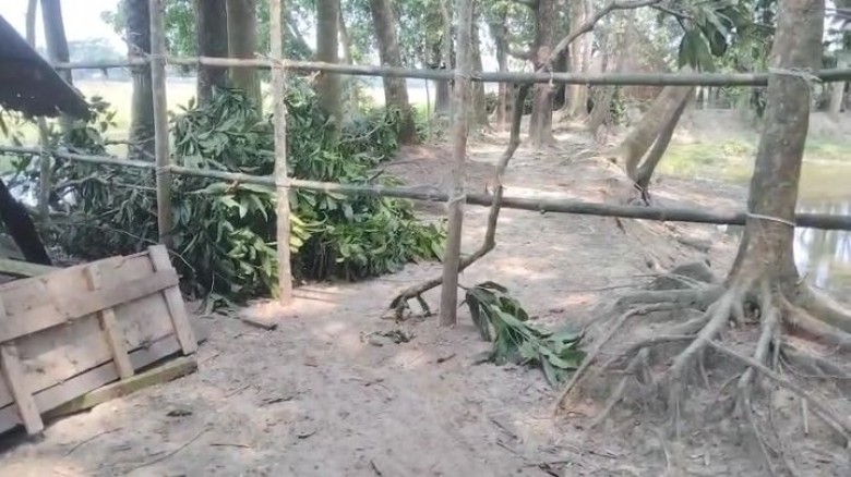 পূর্ব শত্রুতার জেরে মাছ লুট, গাছ কর্তন ও চলাচলের পথ অবরুদ্ধে