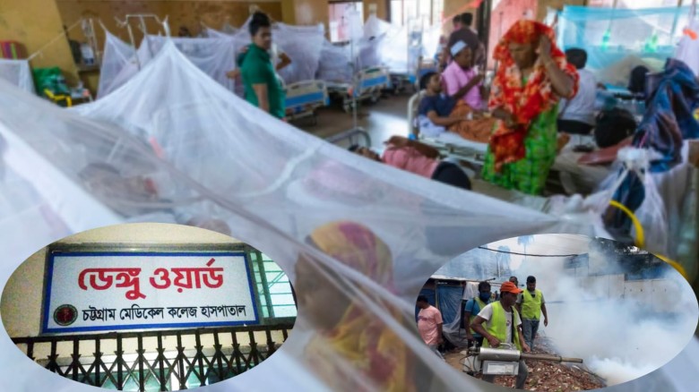 চট্টগ্রামে ডেঙ্গুর চোখ রাঙ্গানী ৪ গুণ বেড়েছে, সিটি করপোরেশনে
